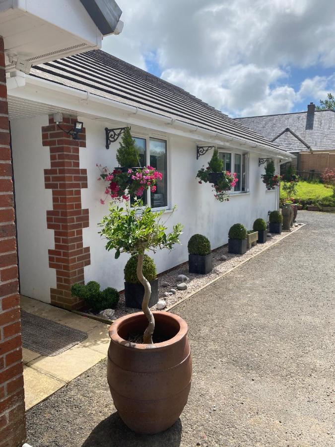 Toppesfield House B&B Bude Esterno foto