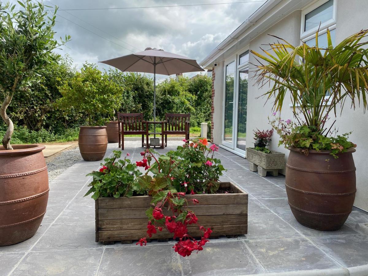 Toppesfield House B&B Bude Esterno foto