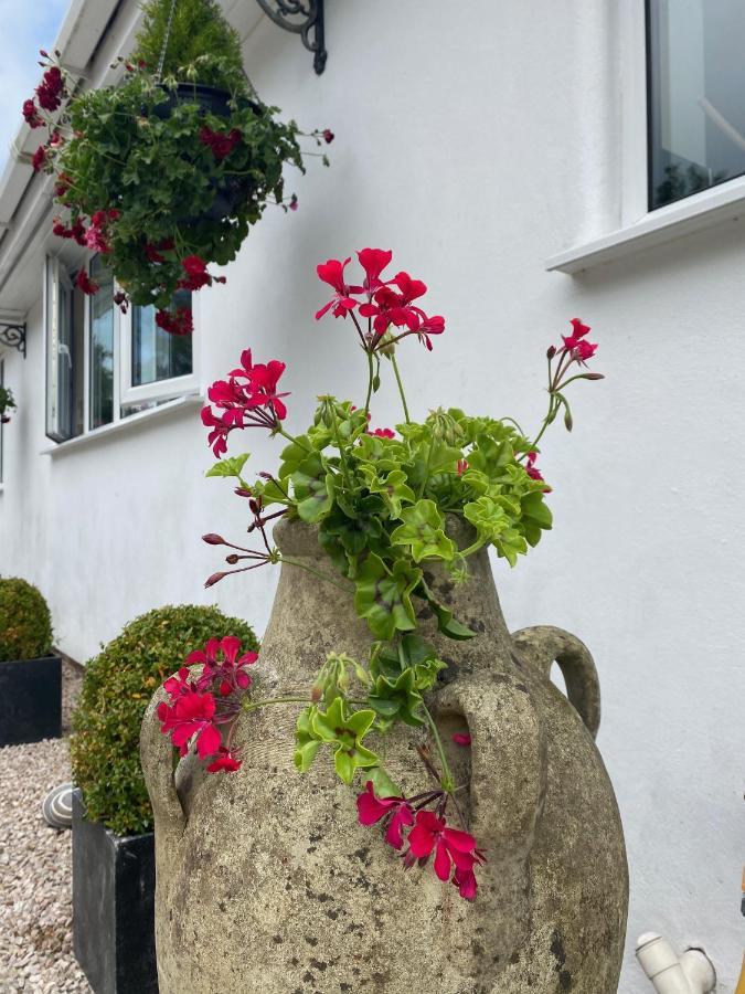 Toppesfield House B&B Bude Esterno foto