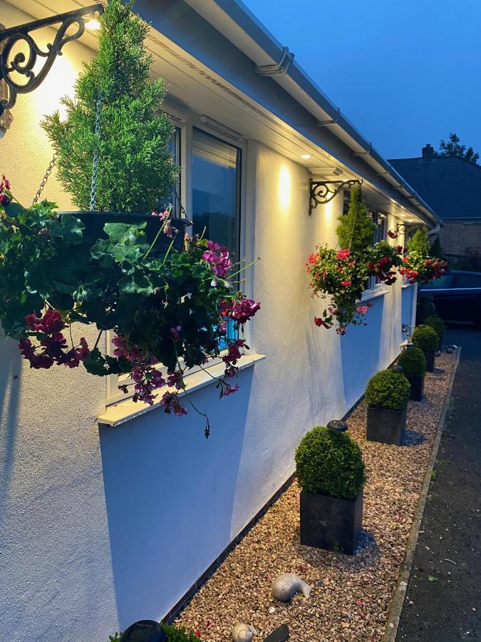 Toppesfield House B&B Bude Esterno foto