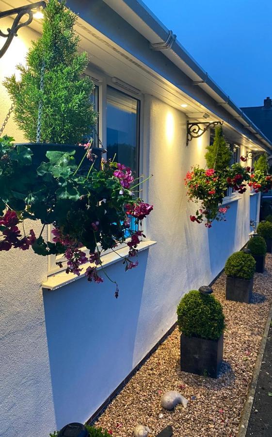 Toppesfield House B&B Bude Esterno foto