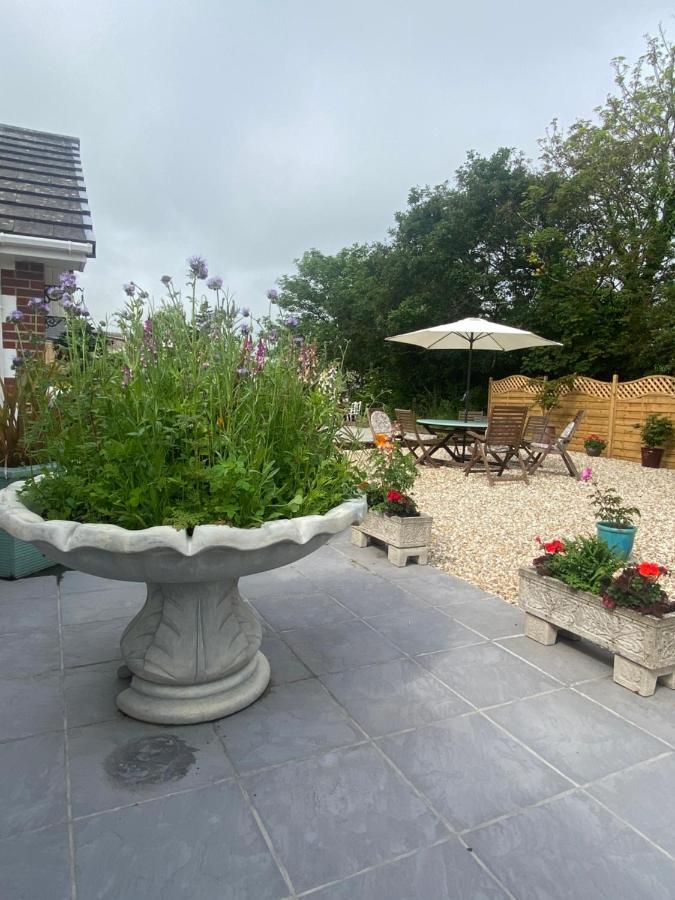 Toppesfield House B&B Bude Esterno foto