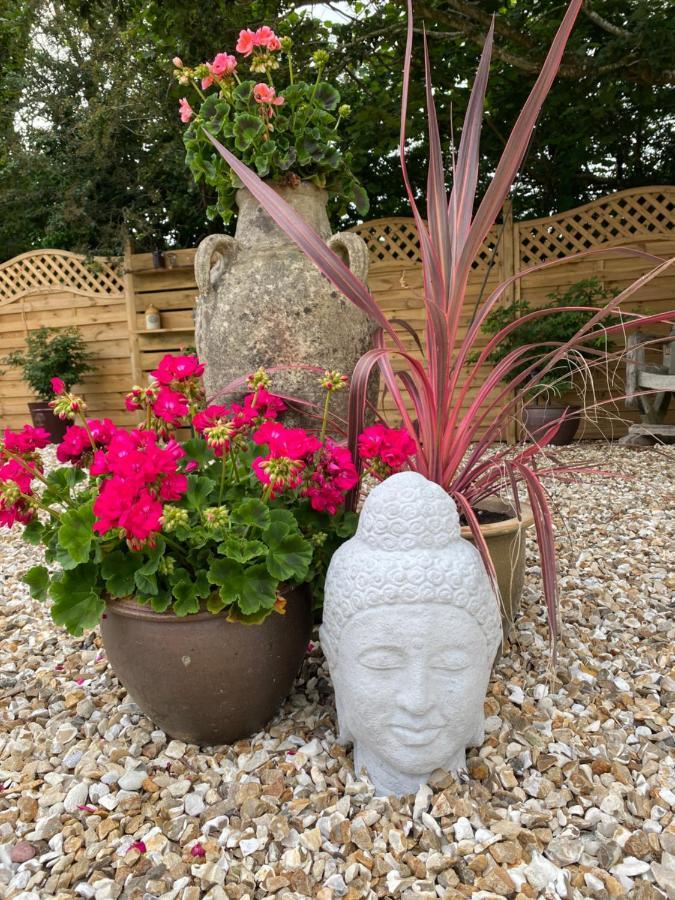 Toppesfield House B&B Bude Esterno foto