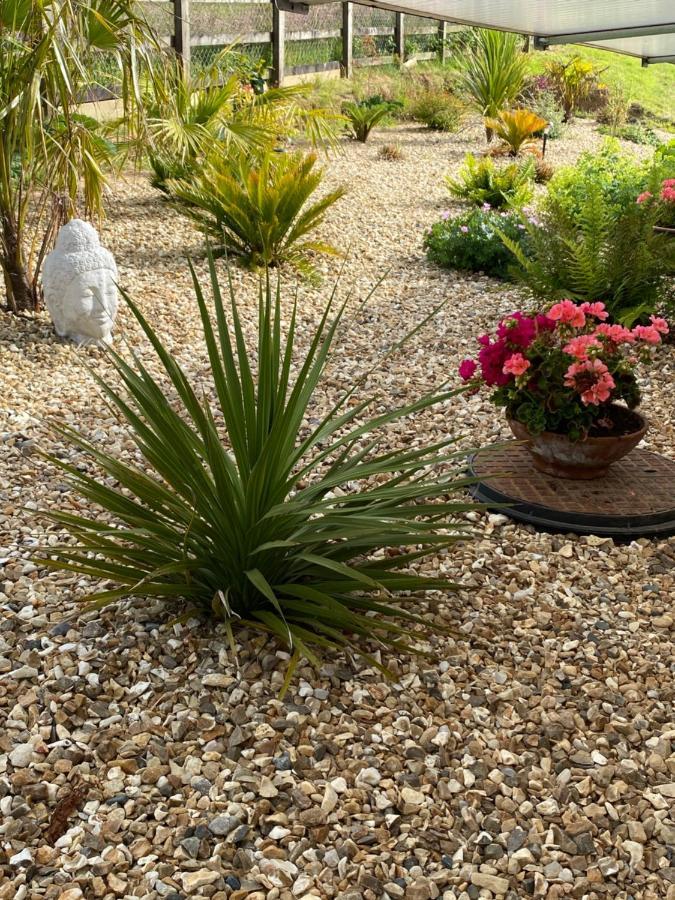 Toppesfield House B&B Bude Esterno foto