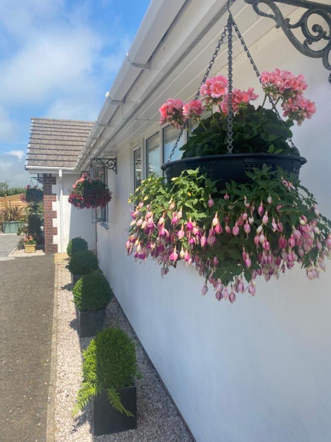 Toppesfield House B&B Bude Esterno foto