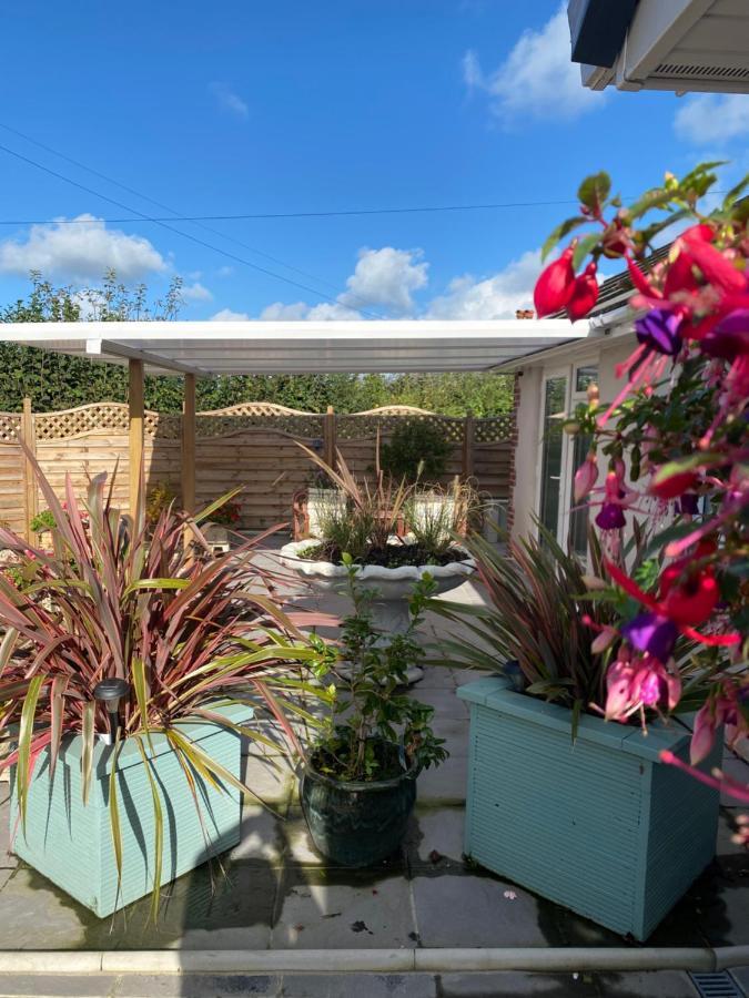 Toppesfield House B&B Bude Esterno foto