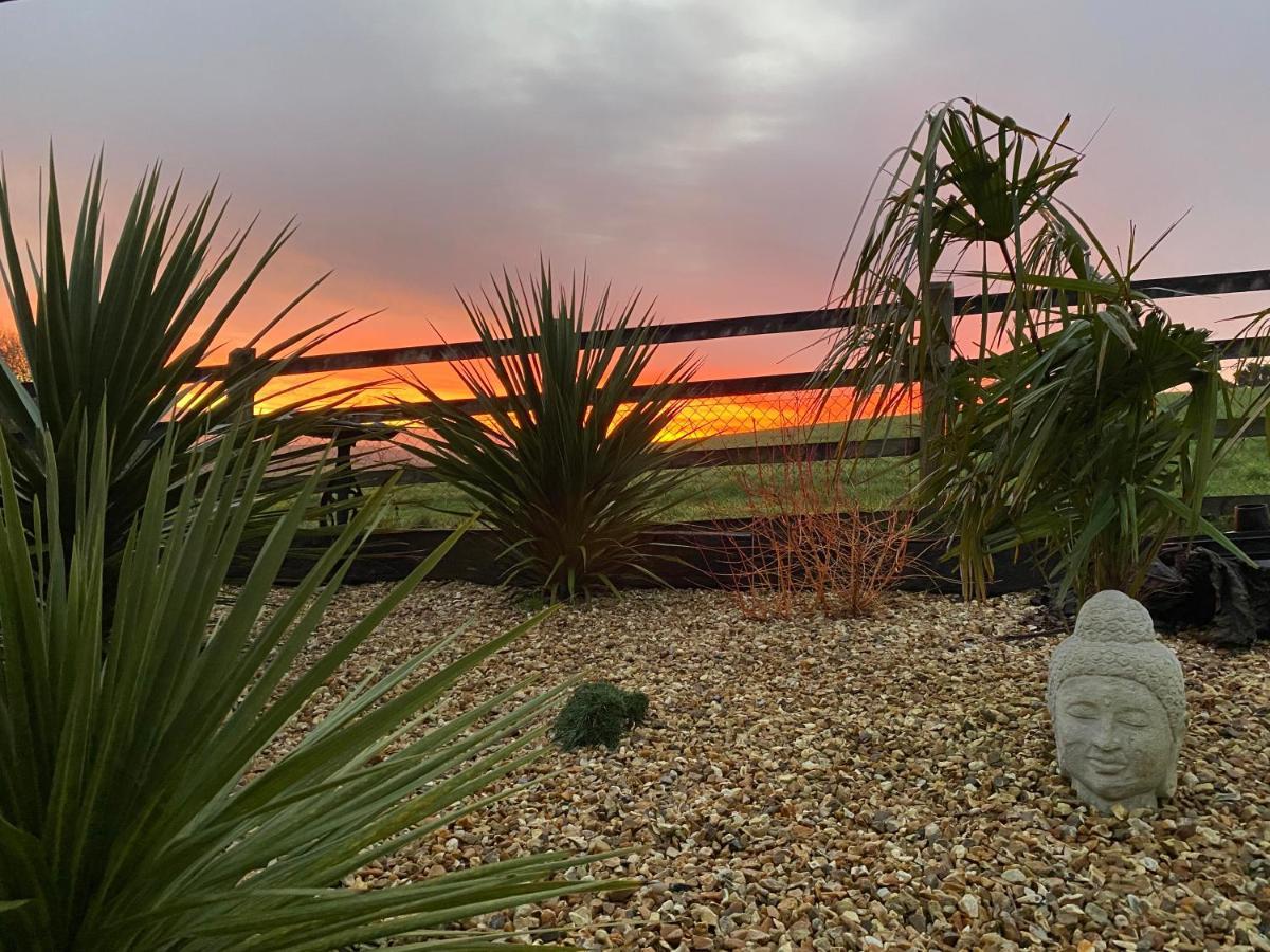 Toppesfield House B&B Bude Esterno foto